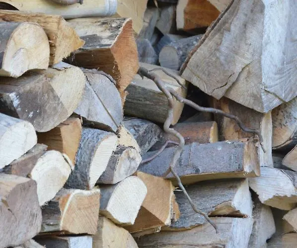 Prázdninový dům Eifel