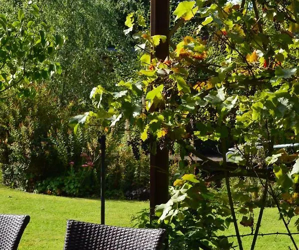 Prázdninový dům Eifel